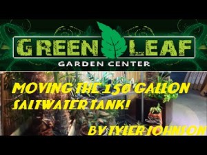 smart-home-greenleaf-garden-center