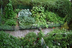smart-home-skippy's-vege-garden