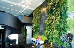 Office-foyer-with-vertical-garden-wall-600x392