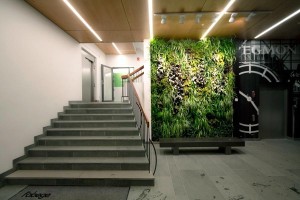 verticla-garden-wall-retail