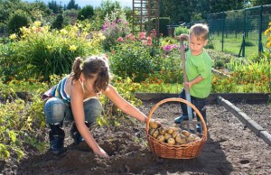 growing-green-at-home