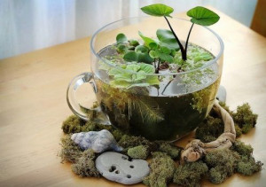 smart-home-decor-table-top-water-garden-2