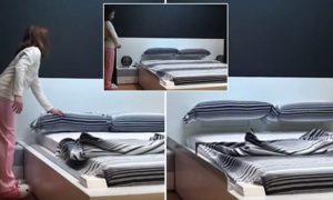 Ohea_smart_bed_smart_home